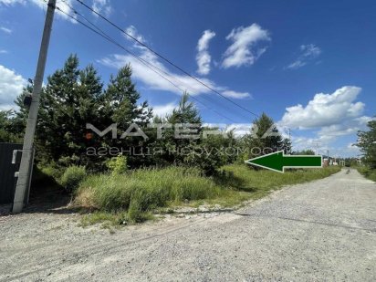 Віта-Поштова Продаж чудової ділянки з соснами 15 соток