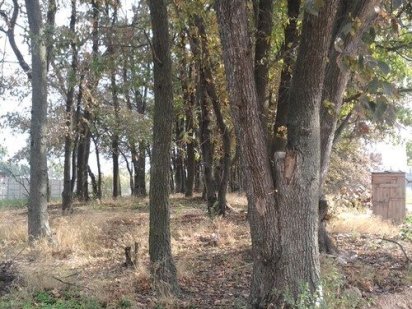 Продам-10сот-Н-Петрівці,7км від м.Києва.