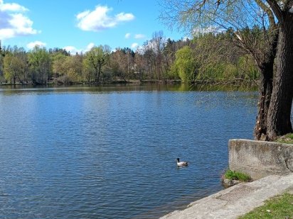 Земельна ділянка будинок Стоянка