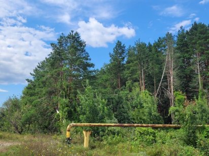 Продам участок 12 соток под строительство 13 км от Киева 11 км Ирпень