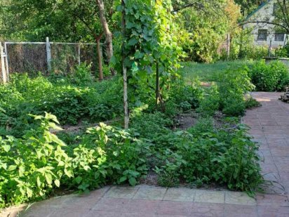 Участок  земельный  в Стоянке 5 соток. Стоянка