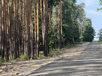 Продам Ділянку 24сотки Навпроти Заповідного Лісу в Ексклюзивному Місці