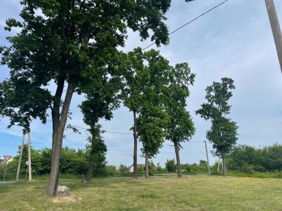 Участок під забудову 10 соток  Нові Петрівці