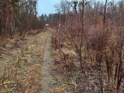 Нові Петрівці, промислова земельна ділянка 2 га. Супермісце!