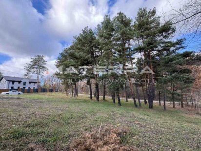 Віта-Поштова Продаж ЕКСКЛЮЗИВНОЇ кутової ділянки, 1ша лінія від ЛІСУ