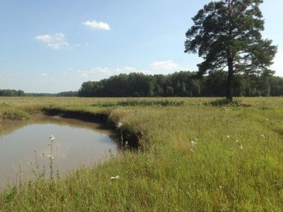 земельна ділянка з цоколем Яготин