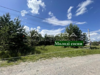 Віта-Поштова Продаж чудової ділянки з соснами 15 соток