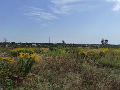 Продажа участка 10 га П доодгорцы голубое озеро,