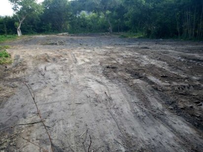 37сот. Земля. Підгірці Підгірці