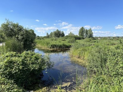 Продаж ділянки вихід на ВОДУ Ходосівка Підгірці, Лісники, голубе озеро Подгорцы