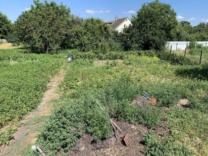 Продам земельну ділянку Підгірці