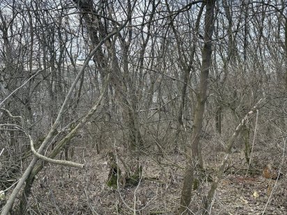 Подгорцы 2 участка по 12 соток Підгірці