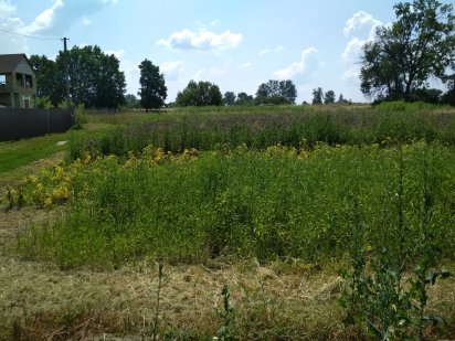 Продам земельну ділянку