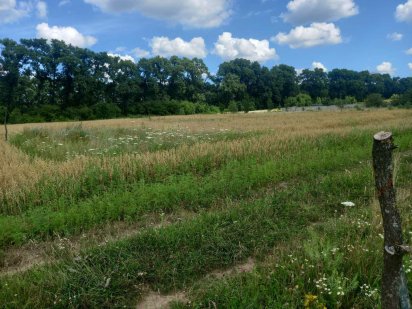 Продам, обміняю участок під будівництво будинку в місті Березань Березань