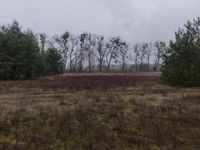 Продам земельну ділянку с. Студеникі Березань