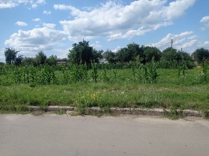 Земельна ділянка Сквира