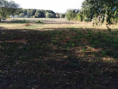 Продам земельну ділянку в місті Узин.