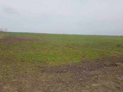 Земельна ділянка Узин