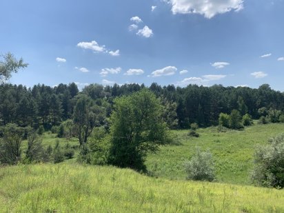 Ржищев 6 га ОСГ , живописно Ржищев