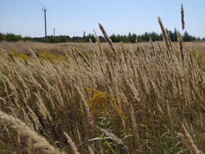 Земляна ділянка 10 соток