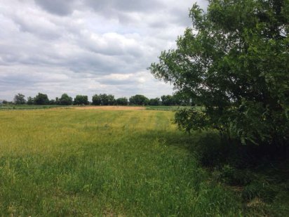 Продам земельный участок Узин