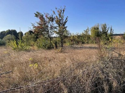 Київська область, Кагарлицький р-н, Кузьминці, Продажа