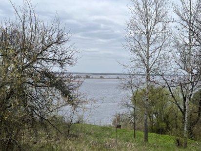 Земельні ділянки Ржищів Ржищів