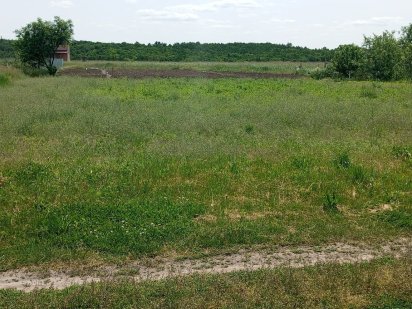 Продам земельну ділянку 10 соток