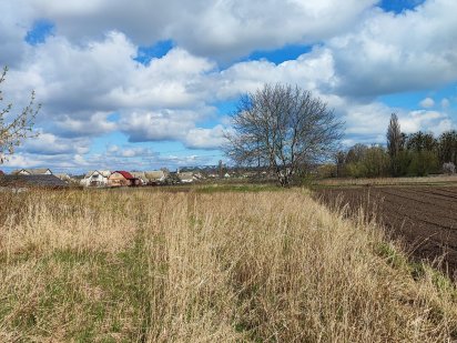 Продам земельну ділянку в місті Рокитне.