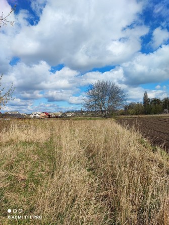 Продам земельну ділянку в місті Рокитне. - фото 1