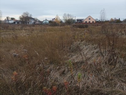 Барышевка участок. Земельна ділянка Баришівка 10 соток Барышевка