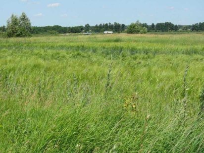 Продам ділянку під забудову !