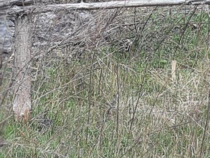 Продажа земельної ділянки під ОСГ