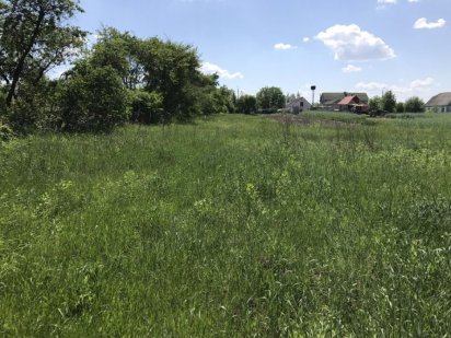 Продам участок Бородянка по вул. Семашко  участок 18 соток. Бородянка