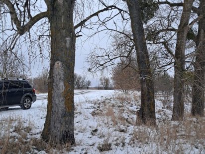 Фасадні ділянки від 30 соток до 20Га в Бородянке
