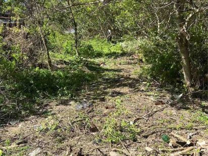 40 соток в центрі смт.Велика Димерка Велика Димерка