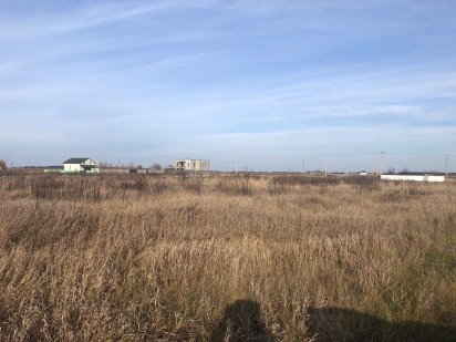 Продам ділянку 13 сот. Велика  Димерка, вул.Тополина 6500 у.о.