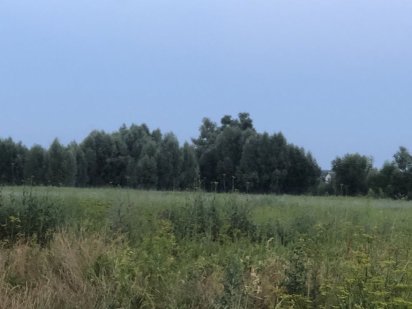 Продаж зем.ділянки у центрі смт В. Димерка,таких ділянок майже не має