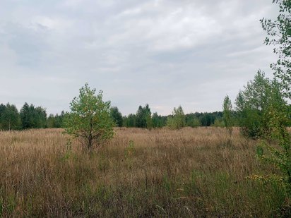 Продам участок г.Макаров – 1 га