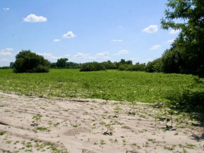 Фасадна ділянка. Одеська траса