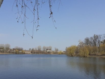 Участок в Немешаево Немішаєве