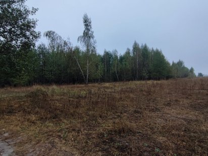 Продаж 25соток поруч інстетут Картоплянства