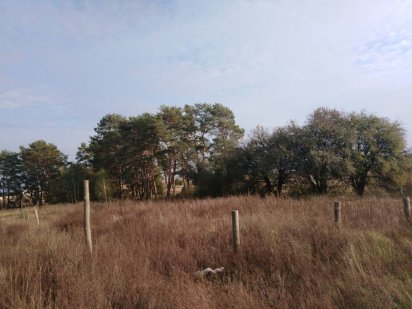 Земельный участок в  Киевской обл пгт Дымер под застройку