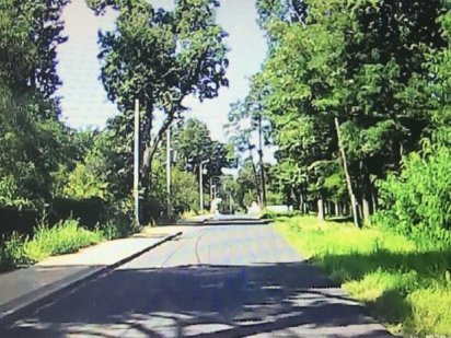 Участок Ворзель / Немешаево Немішаєве