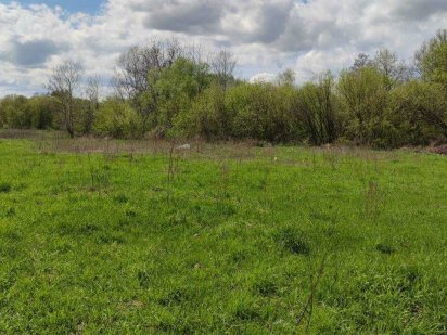 Немішаєво двох фасадна ділянка 10с  фасад  50м ID 81