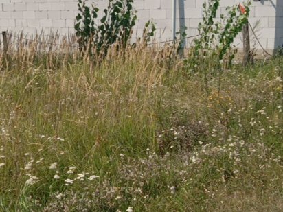 Продам земельну ділянку Димер