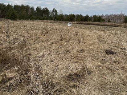 Ділянка під забудову Димер