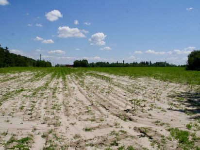 Фасад Одеського шоссе Глеваха