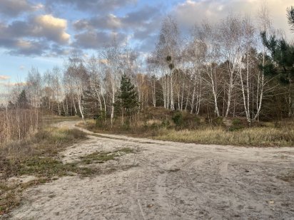 Участок 1,4 Га. Бабинцы. Бучанский район. Лес. Озеро Бабинці
