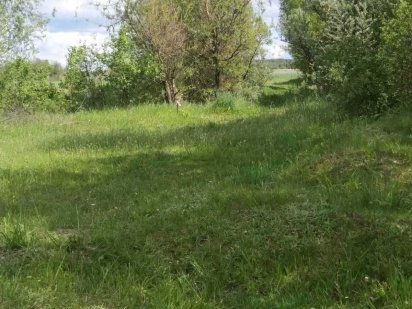 Продам земельну ділянку 0.137 га Бабинці Бабинці